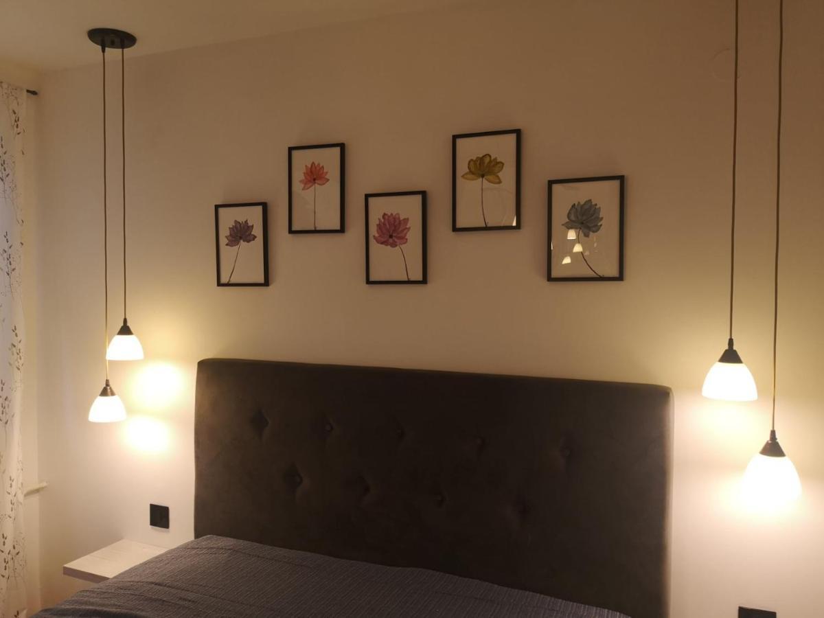 Apartman Darvin / Lux Belgrad Exteriör bild