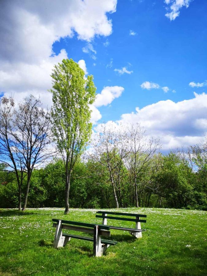 Apartman Darvin / Lux Belgrad Exteriör bild